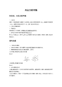 高中物理人教版 (2019)必修 第一册5 共点力的平衡学案设计