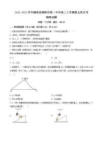 2022-2023学年湖南省邵阳市第二中学高三上学期第五次月考物理试题（解析版）