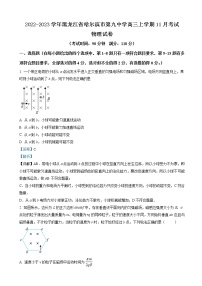 2022-2023学年黑龙江省哈尔滨市第九中学高三上学期11月考试 物理 （解析版）