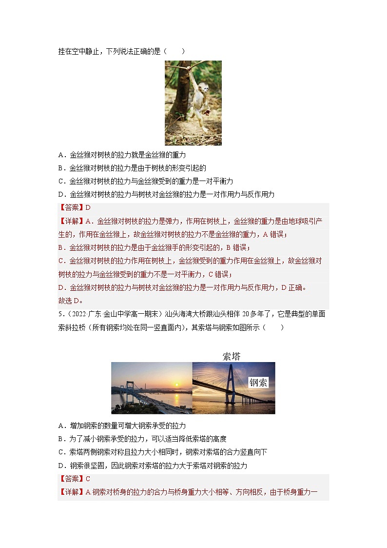 2022-2023学年人教版必修物理第一册专题03相互作用-力（专题过关）（Word版含解析）03