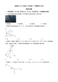 2022-2023学年江苏省盐城市高三上学期期中考试物理试题（解析版）