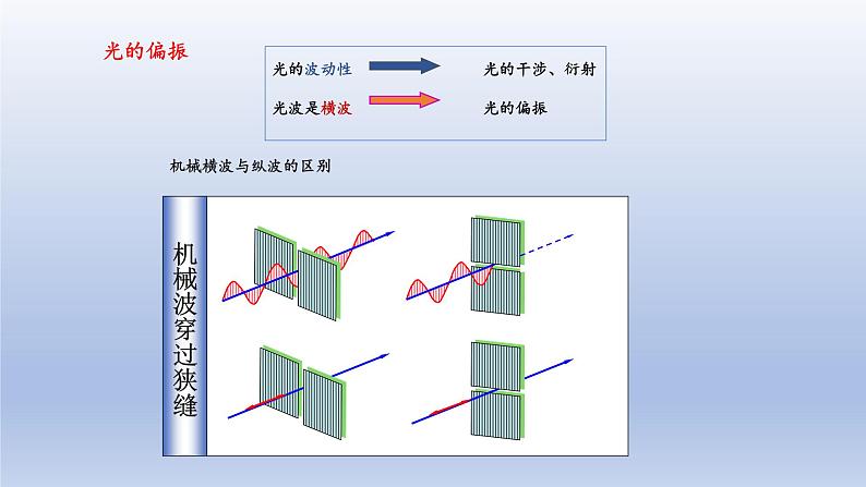 4.6光的偏振 激光 课件   高二上学期物理人教版（2019）选择性必修第一册第2页