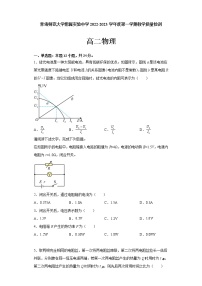 2023西宁城西区师范大学附属实验中学高二上学期12月月考物理试题含答案