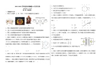 2023河南省顶级名校高三上学期12月摸底考试物理含解析