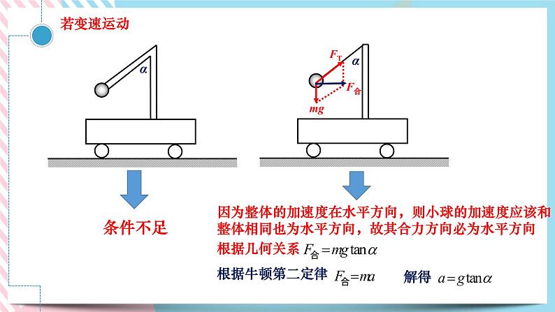 4.5牛顿运动定律的应用（2）竖直与悬挂问题-课件第6页