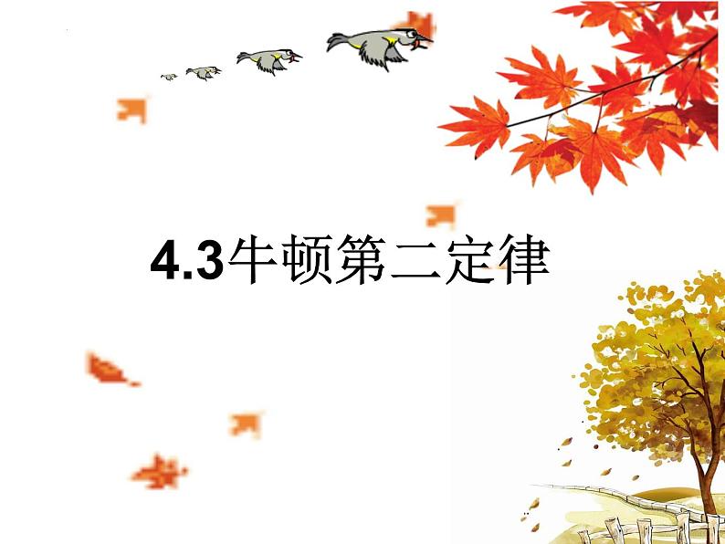 4.3 牛顿第二定律 课件-2022-2023学年高一上学期物理人教版（2019）必修第一册01