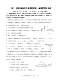 辽宁省沈阳市东北育才学校2022-2023学年高一上学期期末考试物理试题