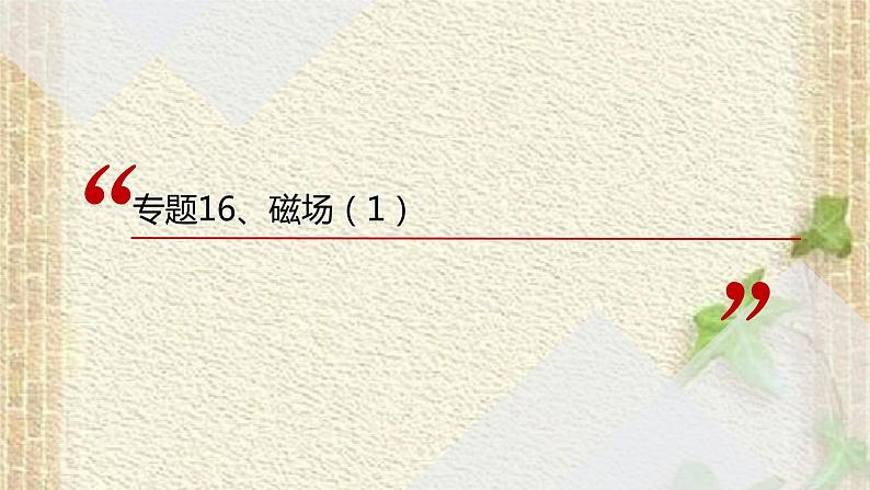 2022-2023年高考物理一轮复习 磁场(1)课件01