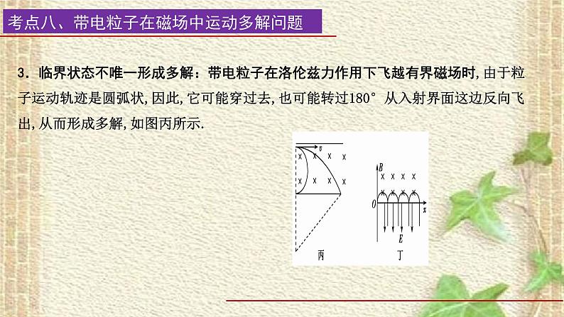 2022-2023年高考物理一轮复习 磁场(3)课件第4页