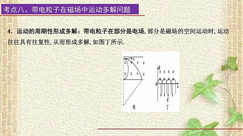 2022-2023年高考物理一轮复习 磁场(3)课件第5页