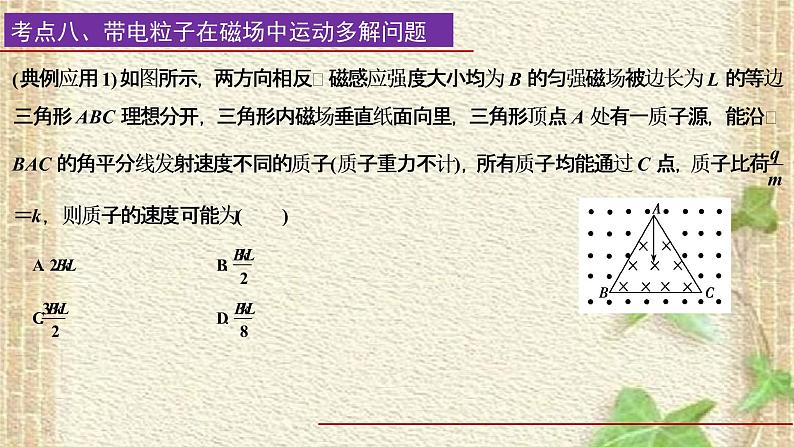 2022-2023年高考物理一轮复习 磁场(3)课件第6页