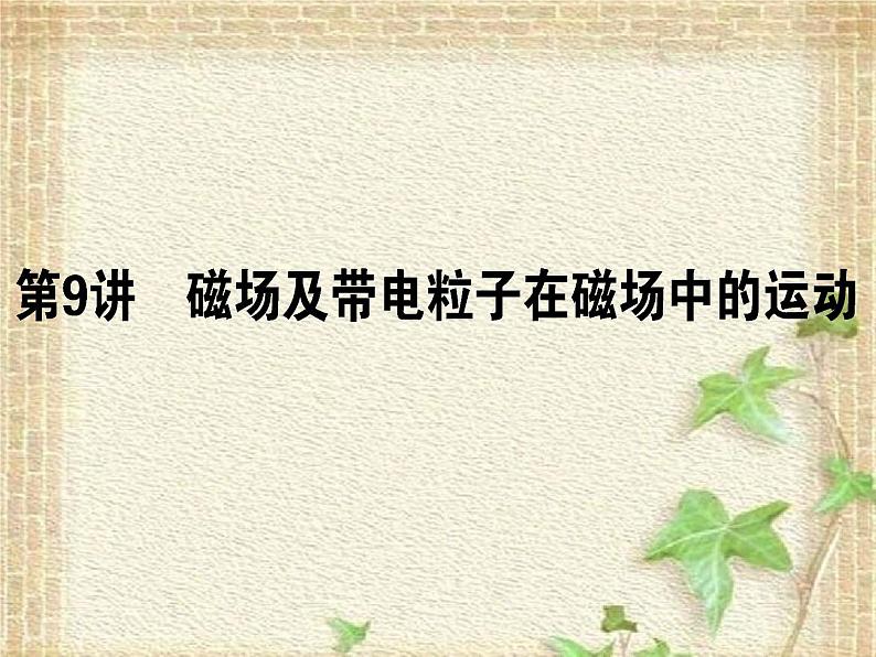 2022-2023年高考物理一轮复习 磁场及带电粒子在磁场中的运动课件01