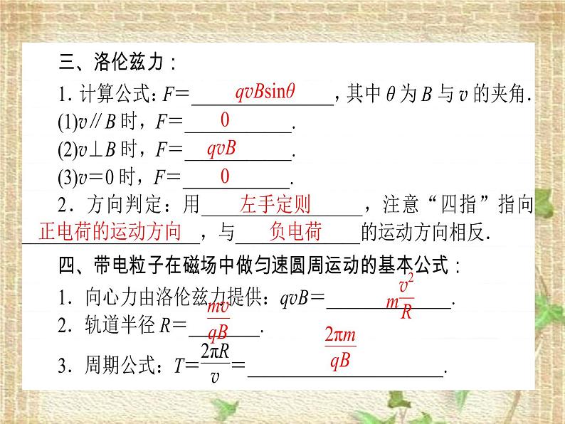 2022-2023年高考物理一轮复习 磁场及带电粒子在磁场中的运动课件03