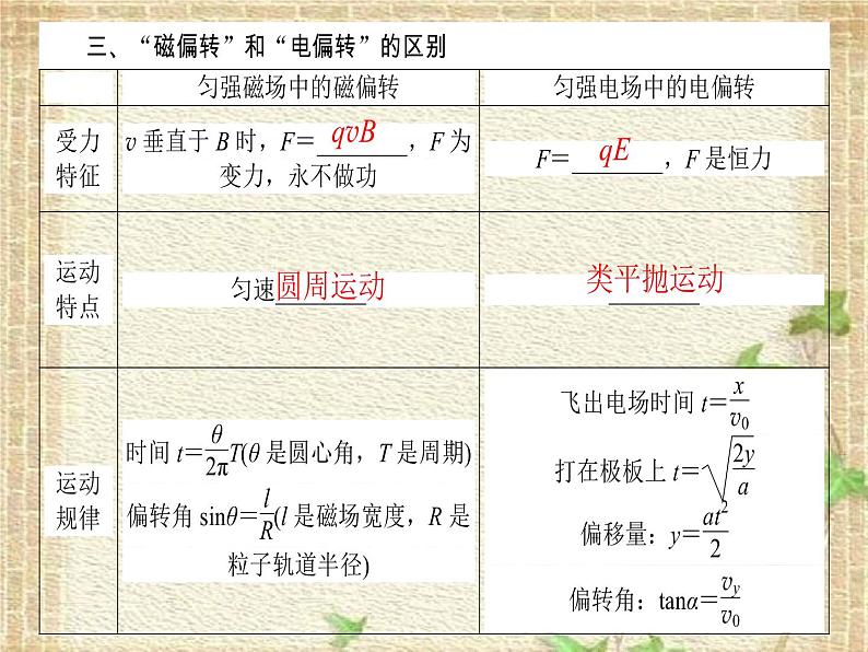 2022-2023年高考物理一轮复习 带电粒子在组合场、复合场中的运动课件第4页