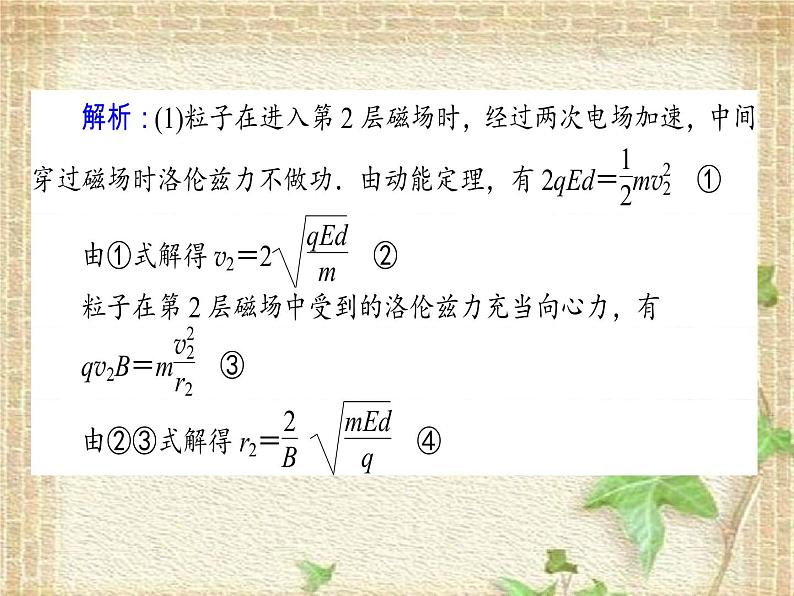 2022-2023年高考物理一轮复习 带电粒子在组合场、复合场中的运动课件第8页