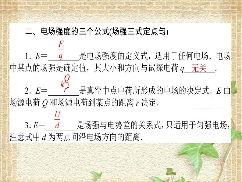 2022-2023年高考物理一轮复习 电场及带电粒子在电场中的运动课件第3页