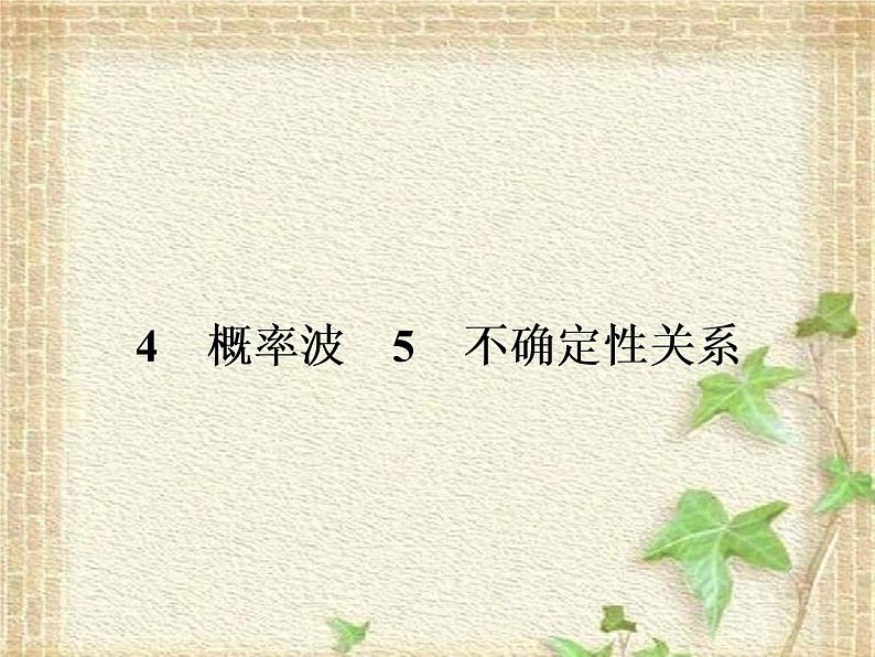 2022-2023年高考物理一轮复习 概率波 不确定性关系课件第1页