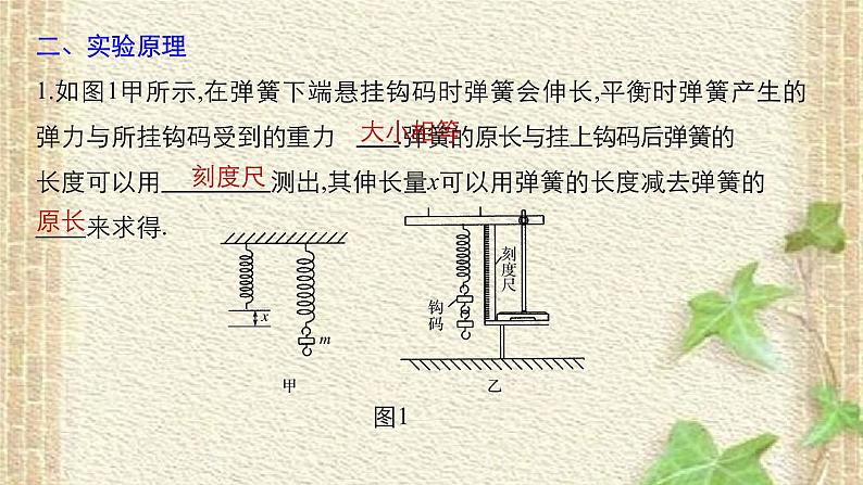 2022-2023年高考物理一轮复习 实验：探究弹力与弹簧伸长量的关系课件03