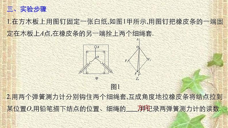 2022-2023年高考物理一轮复习 实验：探究求合力的方法课件第3页