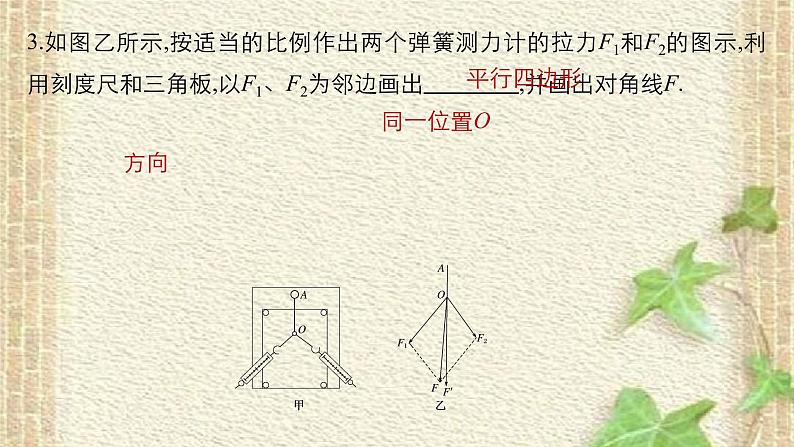 2022-2023年高考物理一轮复习 实验：探究求合力的方法课件第4页