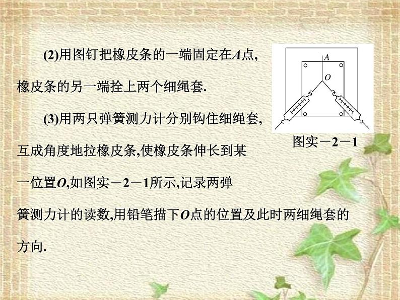 2022-2023年高考物理一轮复习 实验二 验证力的平行四边形定则课件04