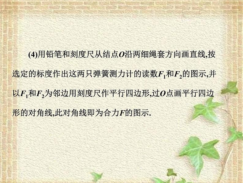 2022-2023年高考物理一轮复习 实验二 验证力的平行四边形定则课件05