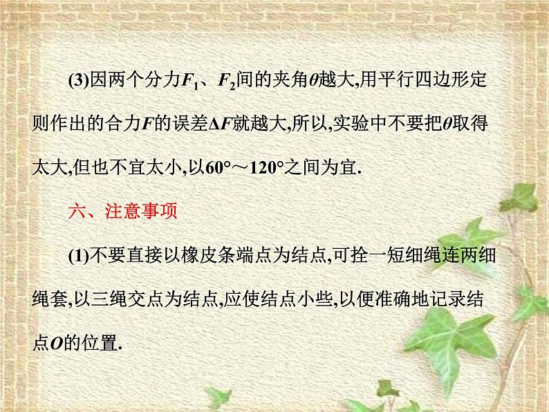 2022-2023年高考物理一轮复习 实验二 验证力的平行四边形定则课件08