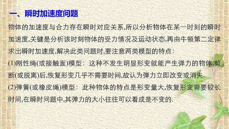 2022-2023年高考物理一轮复习 瞬时加速度问题和动力学图象问题课件第2页