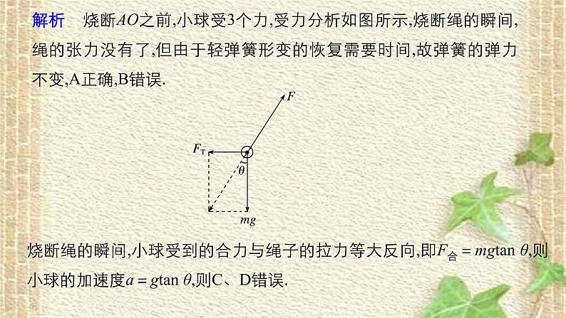 2022-2023年高考物理一轮复习 瞬时加速度问题和动力学图象问题课件第4页