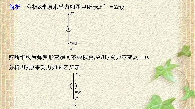 2022-2023年高考物理一轮复习 瞬时加速度问题和动力学图象问题课件第6页