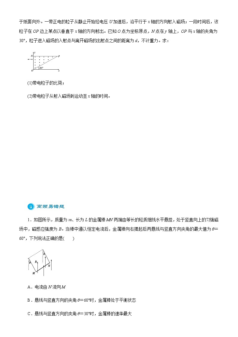 高中物理高考  2021届高考二轮精品专题六 磁场 学生版第3页