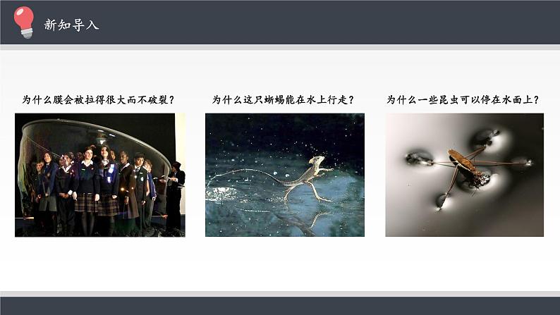 新课标高中物理：液体课件PPT第3页