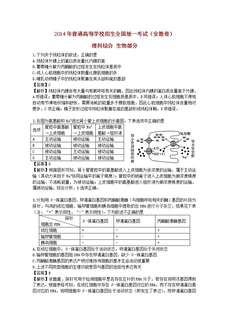 高中物理高考 2014年普通高等学校招生全国统一考试理综生物试题（安徽卷，解析版）01