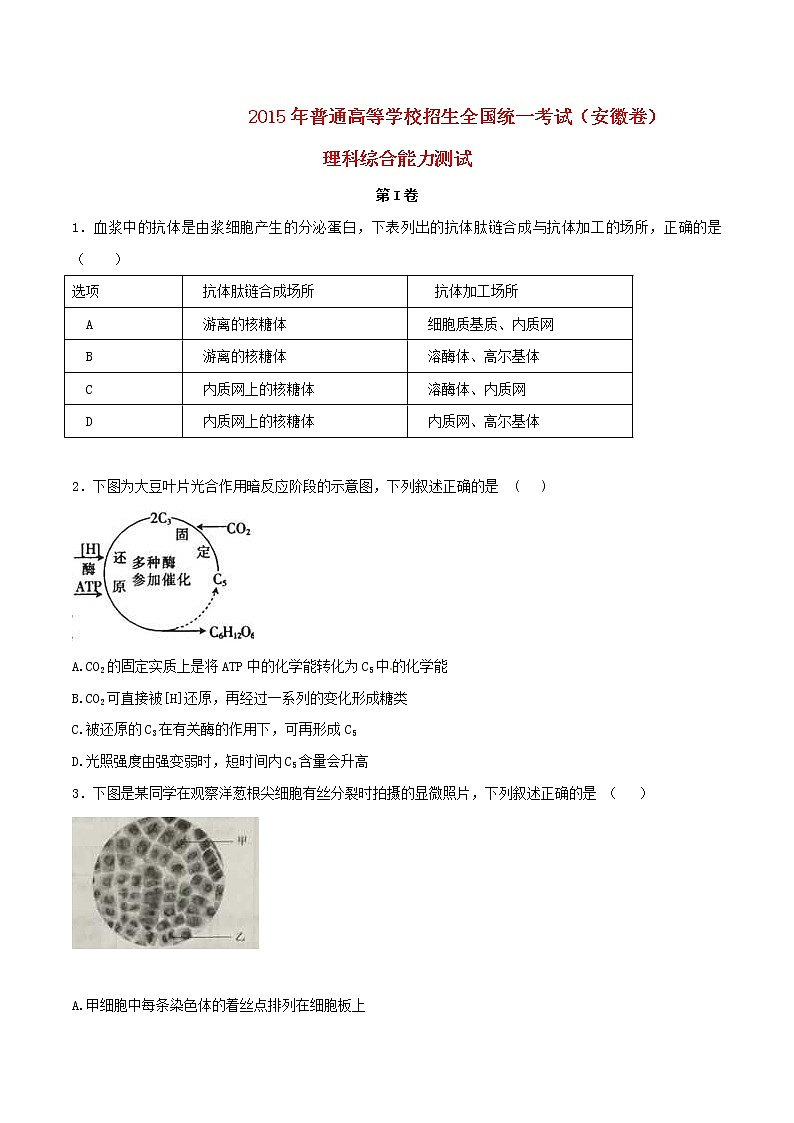 高中物理高考 2015年普通高等学校招生全国统一考试理综试题（安徽卷，含答案）01