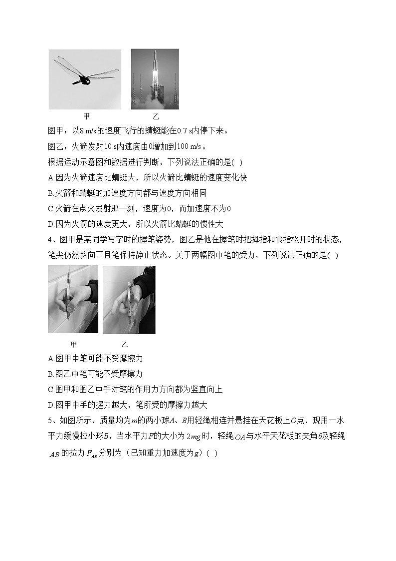 湖南省衡阳市2021-2022学年高一上学期期末考试物理试卷(含答案)第2页