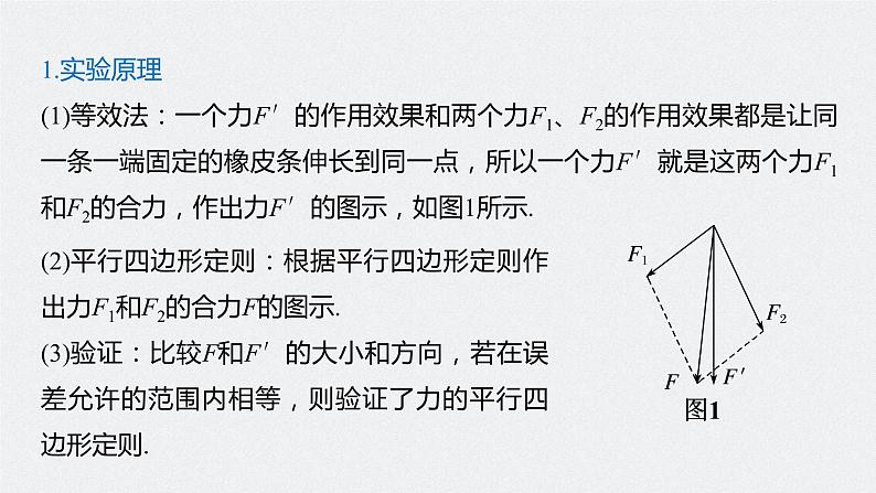 高中物理高考 2022年高考物理一轮复习（新高考版2(粤冀渝湘)适用） 第2章 实验三 验证力的平行四边形定则课件PPT第5页