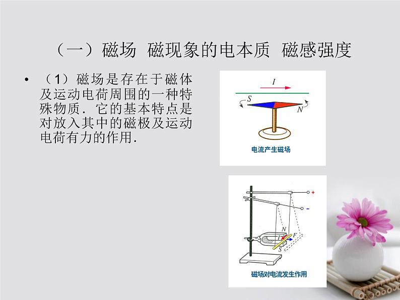 高中物理高考 高考物理一轮总复习考点大全第九章核心考点磁澄件课件PPT03