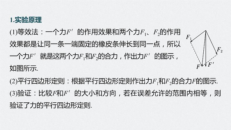 高中物理高考 第2章 实验3　探究两个互成角度的力的合成规律    2023年高考物理一轮复习(新高考新教材) 课件PPT第5页