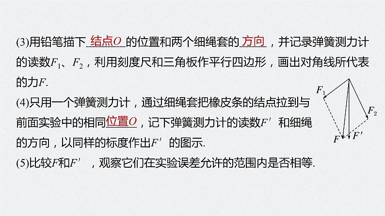 高中物理高考 第2章 实验3　探究两个互成角度的力的合成规律    2023年高考物理一轮复习(新高考新教材) 课件PPT第7页