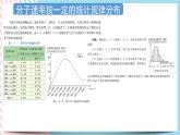 1.3气体分子运动的统计规律 课件-物理粤教版（2019）选择性必修第三册