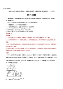 高中物理高考 卷3-备战2021年高考物理【名校、地市好题必刷】全真模拟卷（新高考专用）·1月卷（解析版）