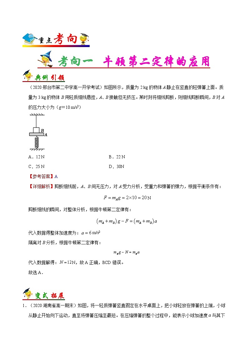 高中物理高考 考点11 牛顿第二定律——备战2021年高考物理考点一遍过第2页
