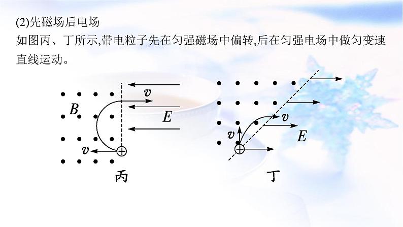 2023届高考物理二轮复习专题3第3讲带电粒子在复合场中的运动课件第6页