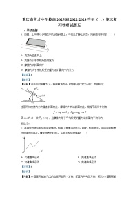 重庆市育才中学2022-2023学年高一物理上学期期末复习试题（五）（Word版附解析）