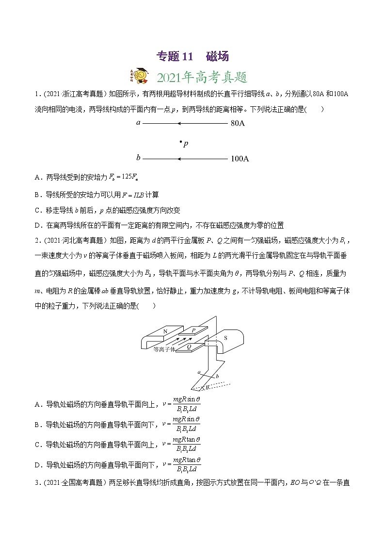 高中物理高考 专题11 磁场-2021年高考物理真题与模拟题分类训练（学生版）01