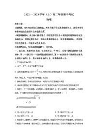 2022-2023学年河南省安阳市高二上学期期中考试物理试题（Word版）