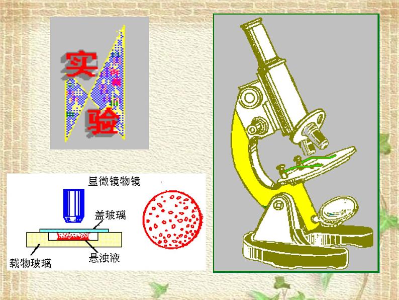 2022-2023年教科版(2019)新教材高中物理选择性必修3 第1章分子动理论第3节分子的热运动课件07