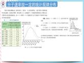 1.3气体分子运动的统计规律 课件-高二下学期物理粤教版（2019）选择性必修第三册