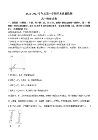 湖北省武汉市江岸区2022-2033学年高一上学期期末质量检测物理试题(含答案)