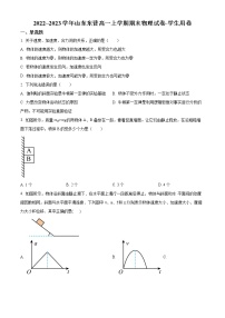 山东省广饶县第一中学2022-2023学年高一上学期期末物理试题(含答案)